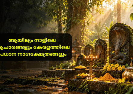 ആയില്യം നാളിൽ നാഗരാജ ക്ഷേത്രത്തിൽ