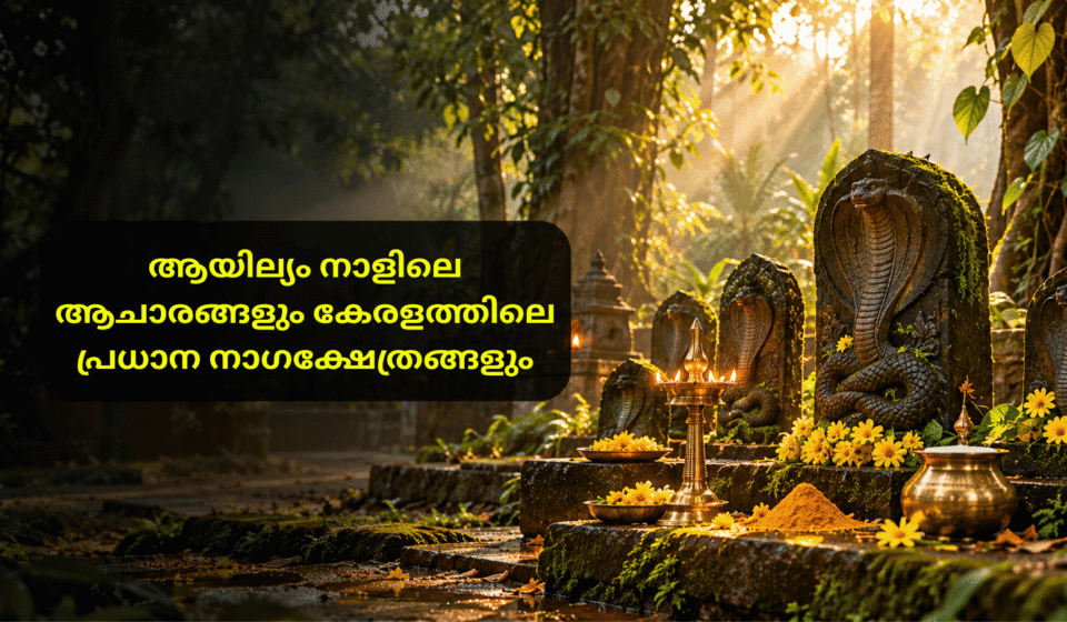 ആയില്യം വ്രതവും പൂജാവിധികളും: നാഗരാജ ക്ഷേത്ര ദർശനത്തിന് മുമ്പ് അറിയേണ്ടതെല്ലാം ആയില്യം നാളിൽ നാഗരാജ ക്ഷേത്രത്തിൽ