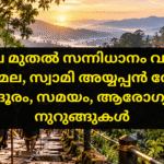 പമ്പയിൽ നിന്ന് നീലിമല വഴി സന്നിധാനത്തേക്ക് കാൽനടയായി കയറുന്ന തീർത്ഥാടകർ