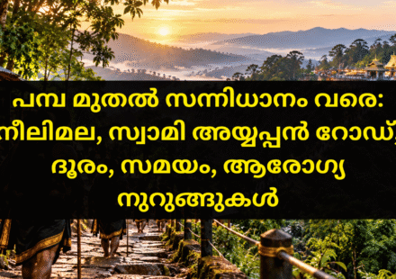 പമ്പയിൽ നിന്ന് നീലിമല വഴി സന്നിധാനത്തേക്ക് കാൽനടയായി കയറുന്ന തീർത്ഥാടകർ