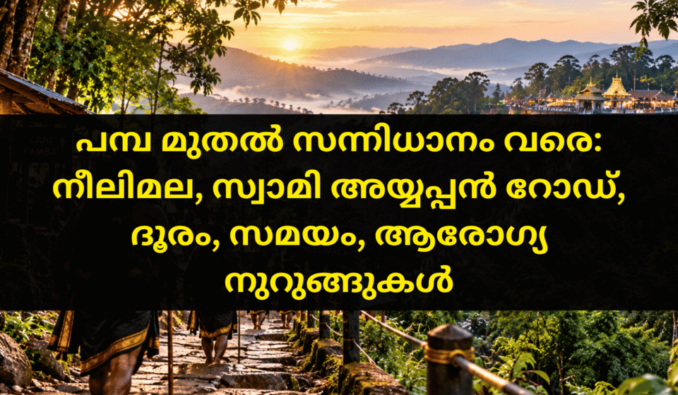 പമ്പ മുതൽ സന്നിധാനം വരെ: നീലിമല, സ്വാമി അയ്യപ്പൻ റോഡ്, ദൂരം, സമയം, ആരോഗ്യ നുറുങ്ങുകൾ പമ്പയിൽ നിന്ന് നീലിമല വഴി സന്നിധാനത്തേക്ക് കാൽനടയായി കയറുന്ന തീർത്ഥാടകർ