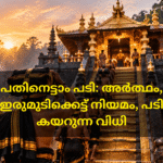ഇരുമുടിക്കെട്ടുമായി ശബരിമല പതിനെട്ടാം പടി കയറാൻ നീങ്ങുന്ന അയ്യപ്പഭക്തർ