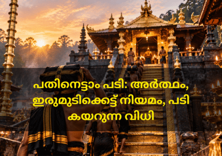 ഇരുമുടിക്കെട്ടുമായി ശബരിമല പതിനെട്ടാം പടി കയറാൻ നീങ്ങുന്ന അയ്യപ്പഭക്തർ